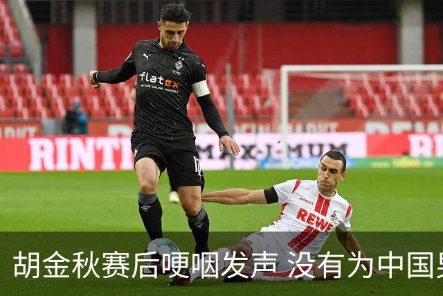 胡金秋赛后哽咽发声 没有为中国男篮做更多，网友:你做的已够多了